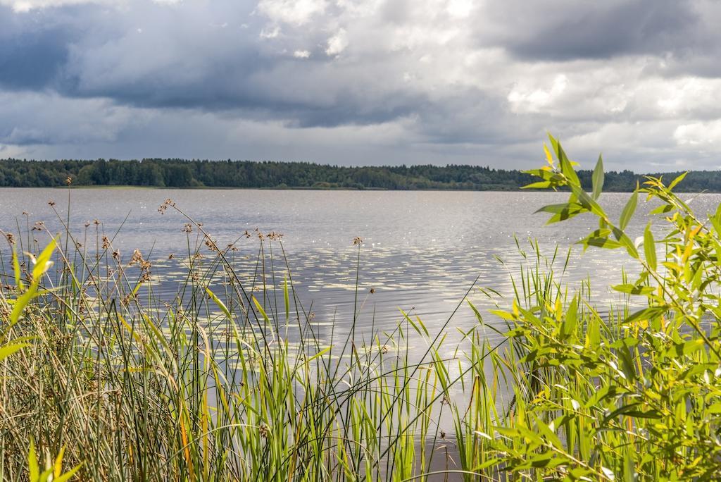 Hus Vena - Schoenes Ferienhaus Naehe Vimmerby Und Astrid Lindgrens Vaerld エクステリア 写真